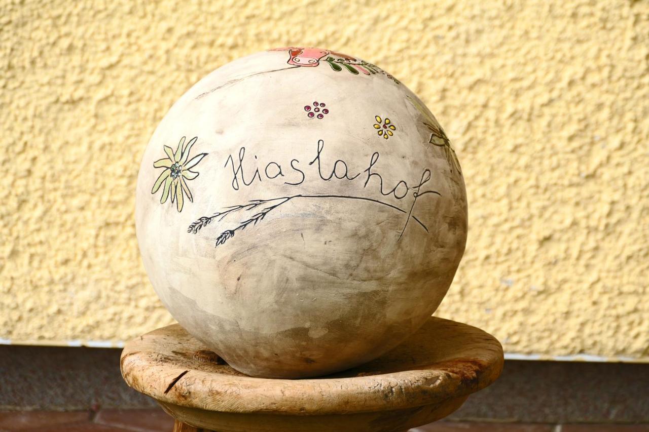 Appartamento Hiaslahof Mariapfarr Esterno foto